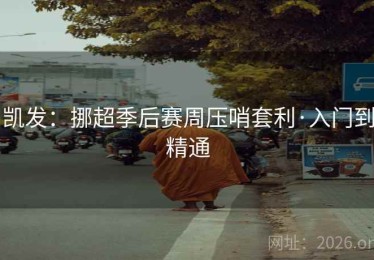 凯发：挪超季后赛周压哨套利·入门到精通