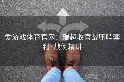 爱游戏体育官网：瑞超收官战压哨套利·战例精讲