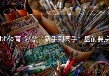 bb体育·彩票｜新手到高手：盘前要点