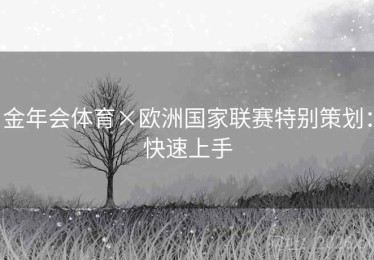 金年会体育×欧洲国家联赛特别策划：快速上手