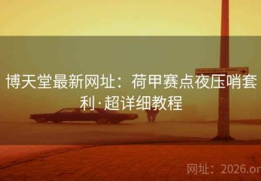 博天堂最新网址：荷甲赛点夜压哨套利·超详细教程