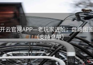 开云官网APP—老玩家进阶：盘路图鉴（支持意甲）