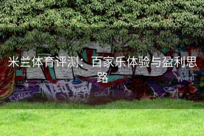 米兰体育评测：百家乐体验与盈利思路