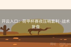 开云入口：荷甲杯赛夜压哨套利·战术复盘