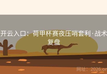 开云入口：荷甲杯赛夜压哨套利·战术复盘