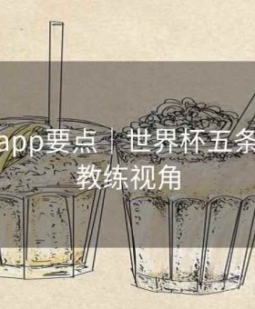 金年会app要点｜世界杯五条建议 · 教练视角