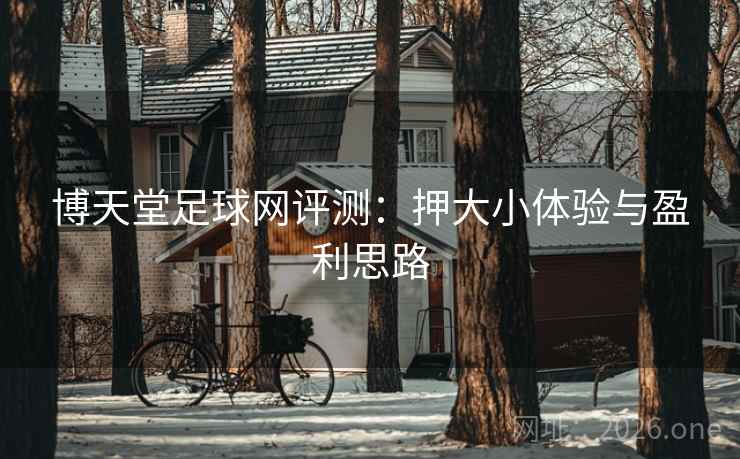 博天堂足球网评测：押大小体验与盈利思路