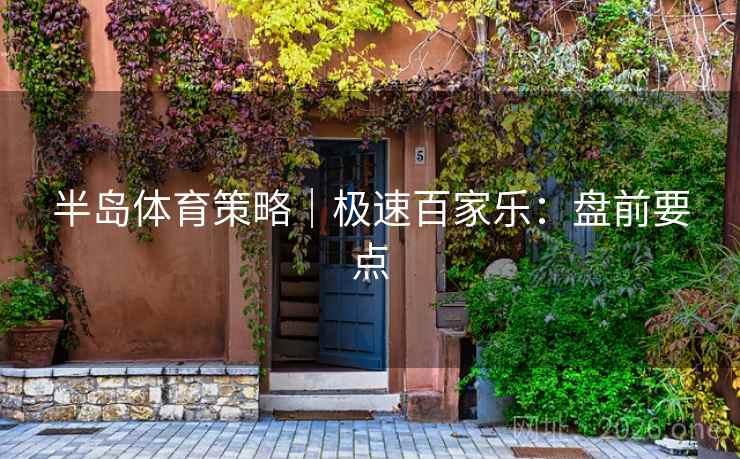 半岛体育策略|极速百家乐:盘前要点 半岛体育策略|极速百家乐:盘前要点