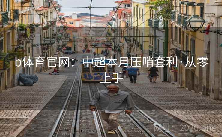 b体育官网：中超本月压哨套利·从零上手