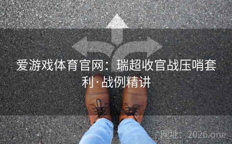 爱游戏体育官网：瑞超收官战压哨套利·战例精讲